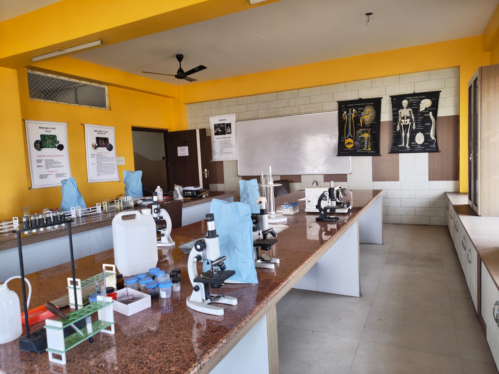 Pharmacology Lab